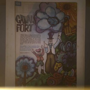 Cavall Fort num. 135