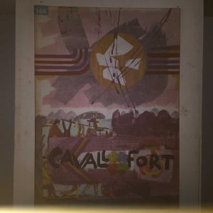Cavall Fort num. 144
