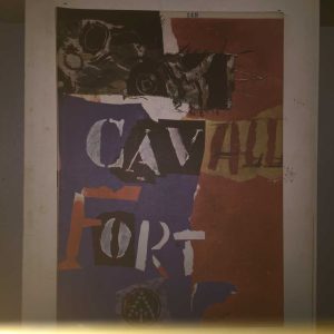 Cavall Fort num. 149